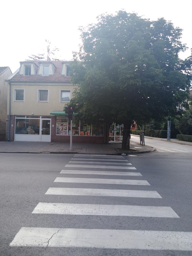 Villa Veliki Park Šabac Exterior foto